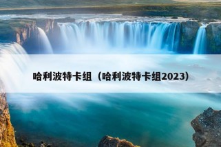 哈利波特卡组（哈利波特卡组2023）