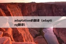 adaptation的翻译（adapting翻译）