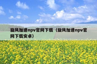 旋风加速npv官网下载（旋风加速npv官网下载安卓）