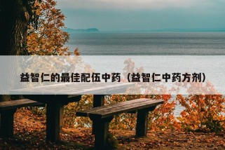 益智仁的最佳配伍中药（益智仁中药方剂）