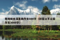 用辣椒水灌直肠作文800字（封尿口不让尿作文3000字）