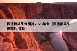 微信搞笑头像图片2023年女（微信搞笑头像图片 逗比）