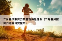 二月春风似剪刀的整首诗是什么（二月春风似剪刀这首诗完整的）